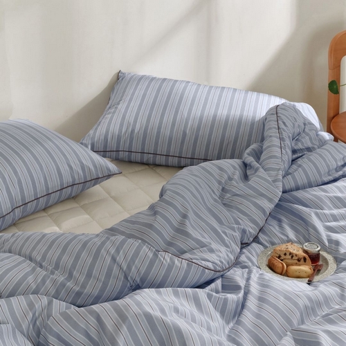 파르페 주베트 알러지케어 다운필 차렵이불패드세트