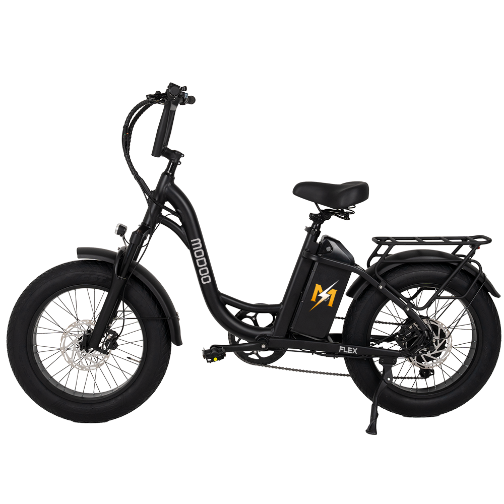 모두스포츠  부릉이 플렉스