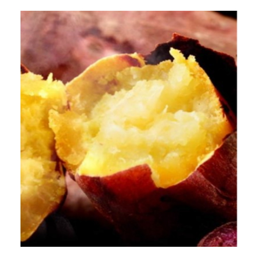 푸드빌리지  부드러움이 가득한 햇 꿀고구마 소 10kg