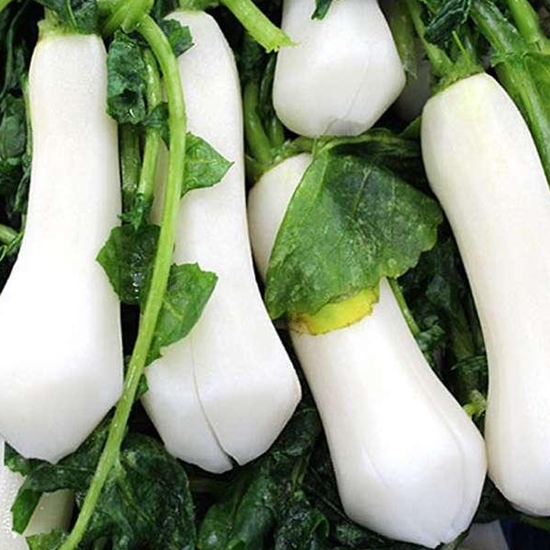 전라김치  절임 알타리무 2kg