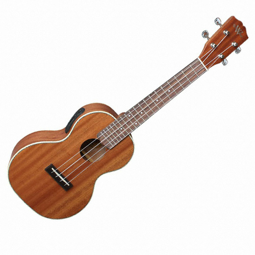 와일드우드  WC-202T