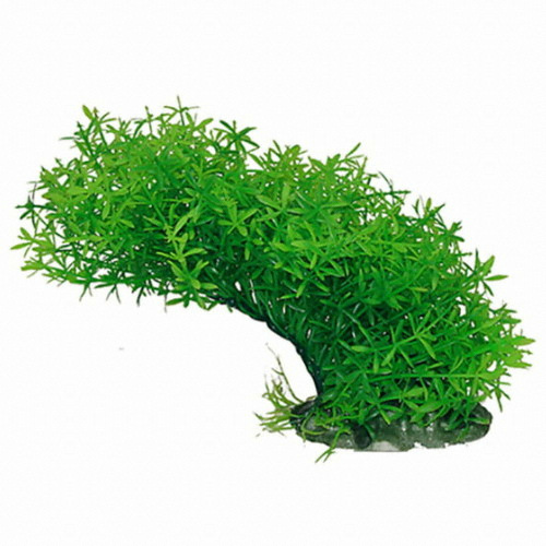 아마존 인조 수초 20cm