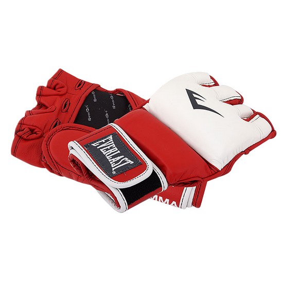 에버라스트  MMA 트레이닝 그래플링 글러브