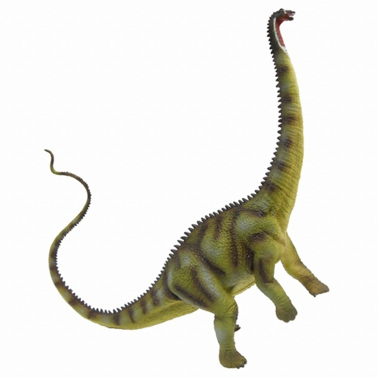 디플로도쿠스 (88896)