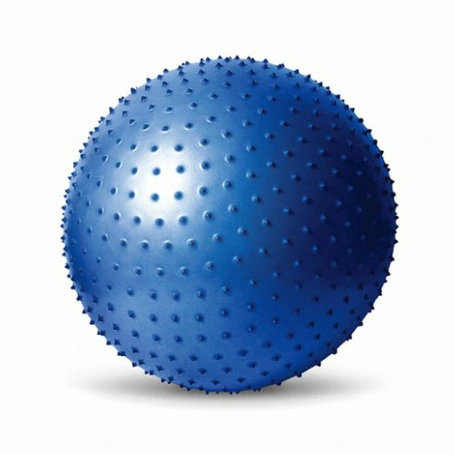 신신상사 스타스포츠 마사지 짐볼 EB220-07 65cm