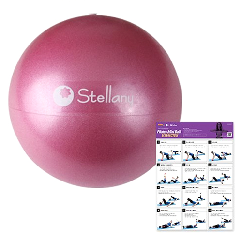 코어바디  스텔라니 소프트볼 미니 20cm