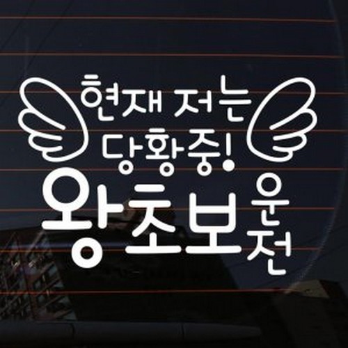 뭉키월드  타이포 현재 저는 당황중 왕초보운전 스티커 LSC-523