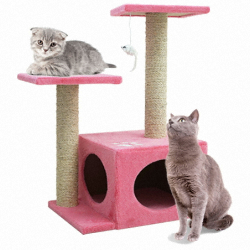 ASP 캣타워(INT-001)