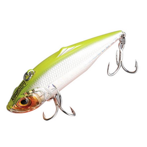 킹덤  5504 바이브레이션