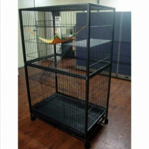 4B  블랙실버 고양이 2단장