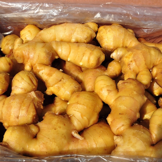 코레마을 수입 생강 5kg[1개]