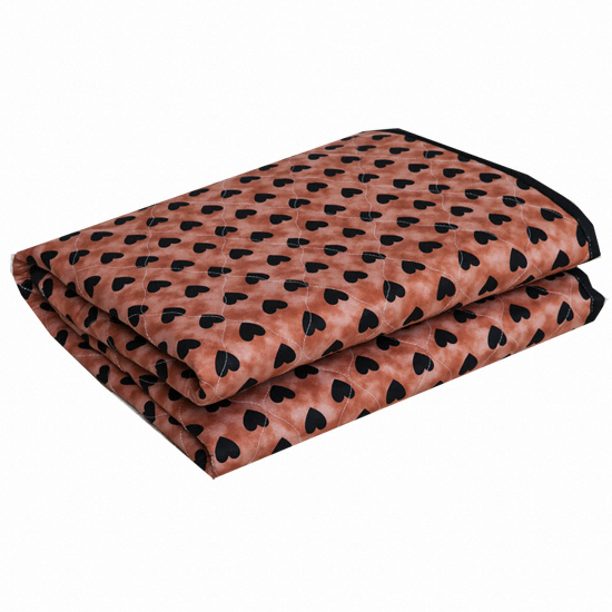 골드큐  흑심 전기요