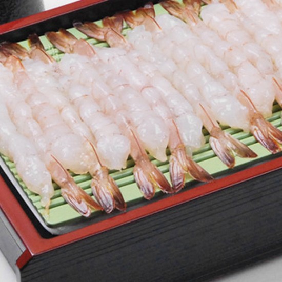 비비수산  노바시새우 40미 300g