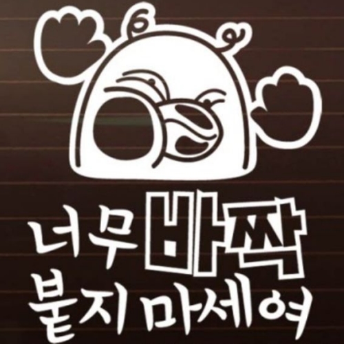 제제데코  덕구 너무 바짝 붙지 마세여 초보운전 스티커