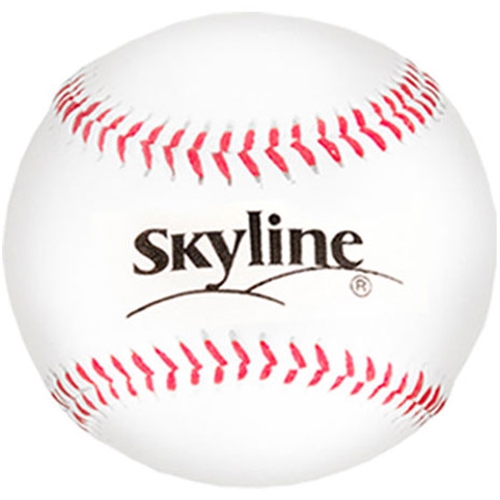 스카이라인  싸인볼