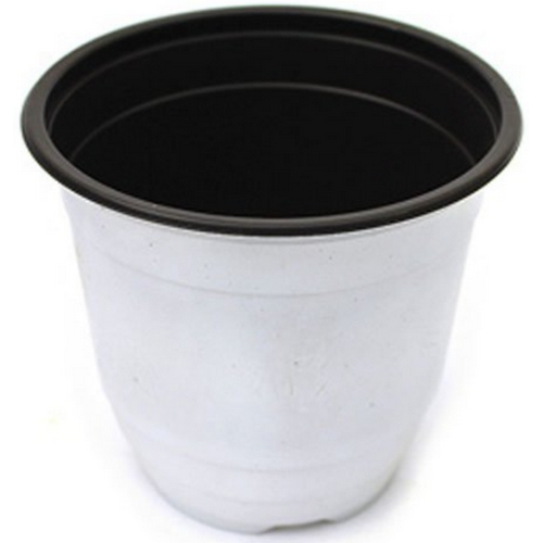 칼라포트-백색GS100