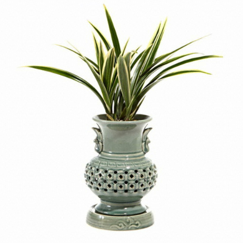 젠틀맨플라워 황금일향투각 OW-4026