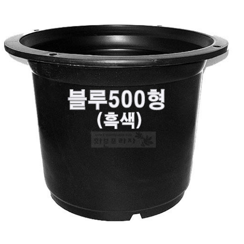 화분프라자  블루베리500형