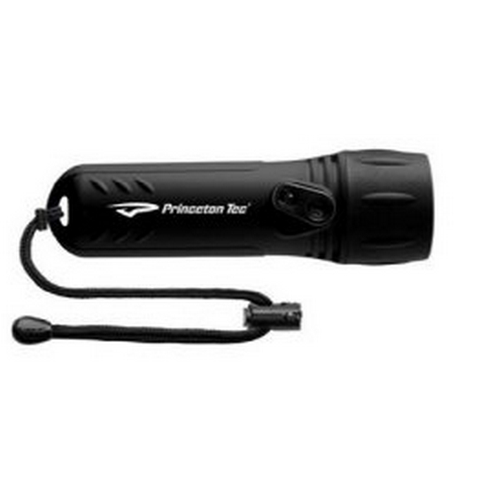 프린스턴텍  토렌트