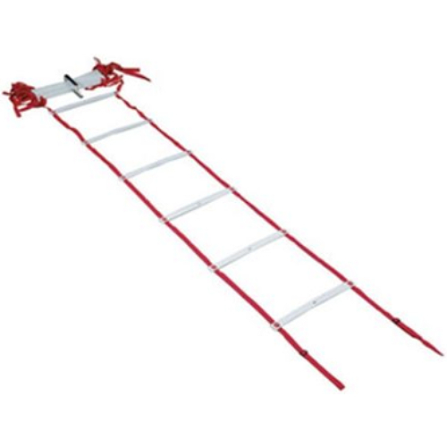 프로맥스  훈련용 사다리 6m