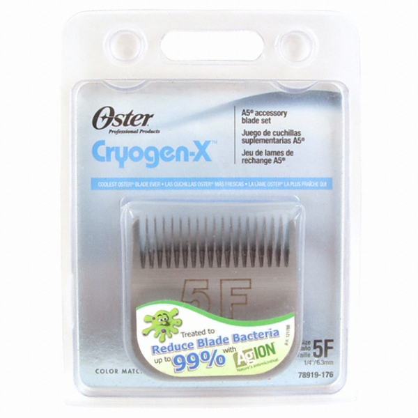 오스터  교체날