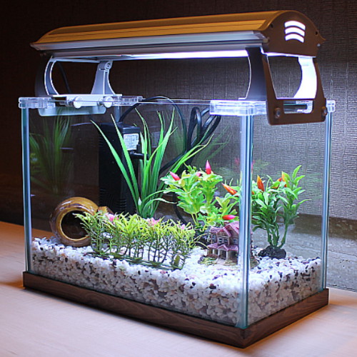 프리미엄 슬림형 누드큐브 중형 풀세트