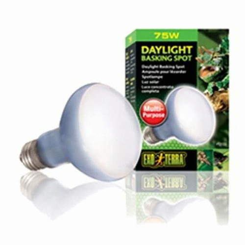 하겐 파충류 바스킹 스팟 램프 75W