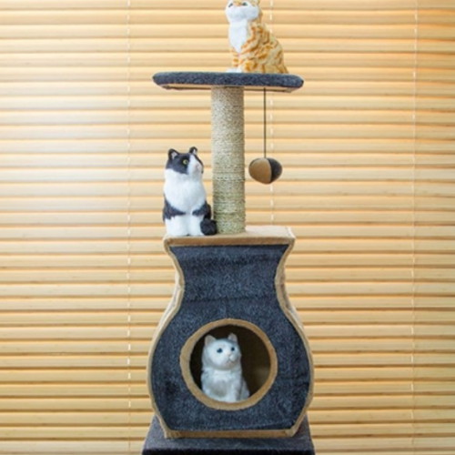 무료  엠펫 오케스트라 캣콘도 BB-03