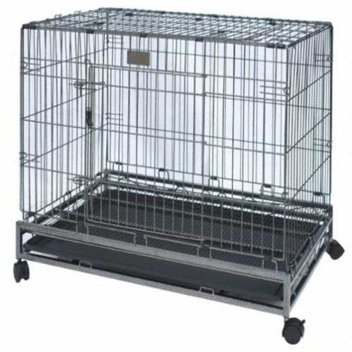 업체  브리더 진도장 대형 L