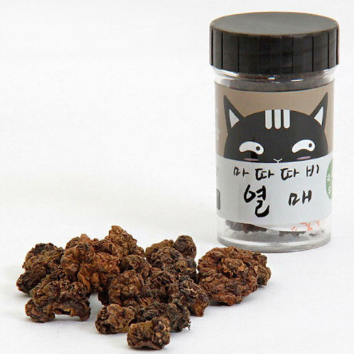 펫모닝 마법의 마따따비 열매 PMC-375