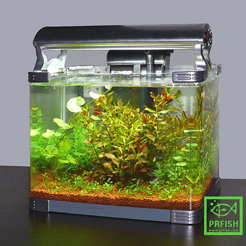 피알피쉬 350 황토소일수초어항 풀세트