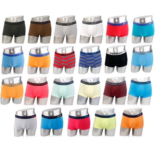 GV2 클리어런스 드로즈 팬티