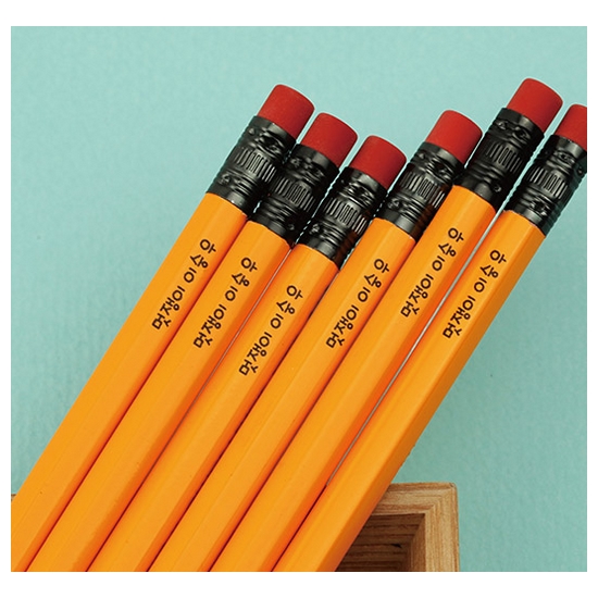 스테들러  주문제작 네임연필2B 6자루