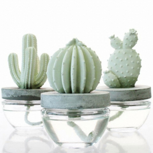 아로마코 선인장 디퓨저 100ml