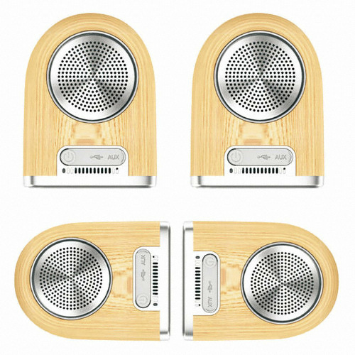 캐논  RAYO DUAL BTS 우드