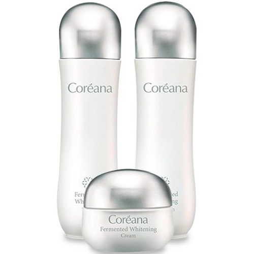 코리아나 발효 화이트닝 기초 3종 세트