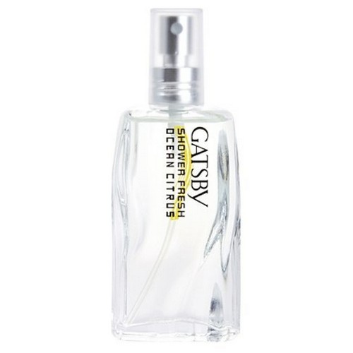 갸스비 오션시트러스 샤워 프레쉬 60ml