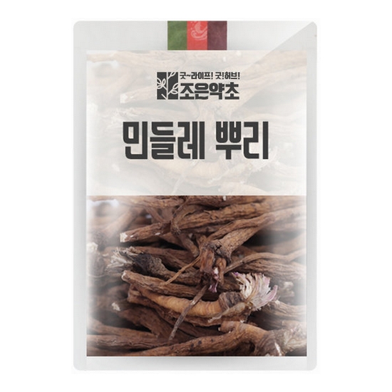조은약초 민들레 뿌리