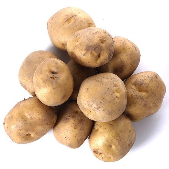 햇살조은  수미 감자 왕특 5kg