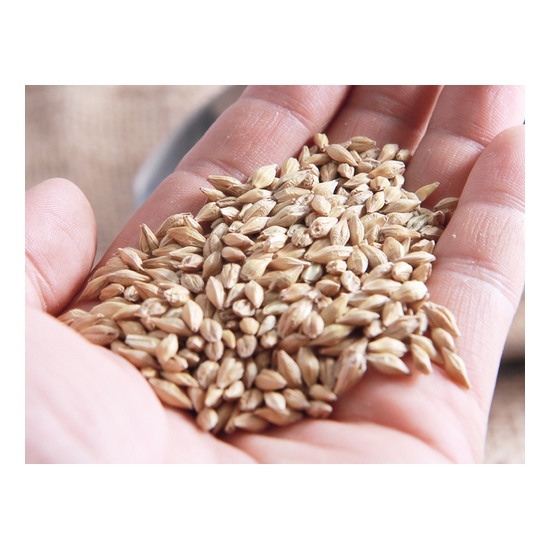 소화농장  겉보리 1kg