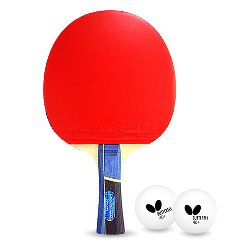 버터플라이  티모볼 2000