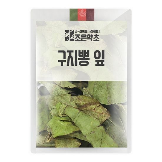 조은약초 구지뽕 잎 200g