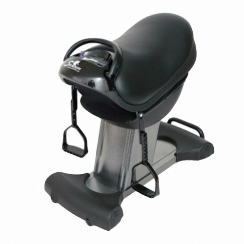 라이더 에스라이더 스마트 승마운동기