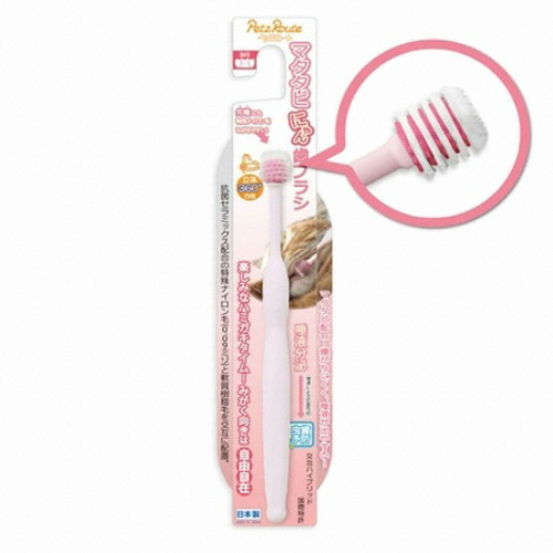 펫츠루트 캣 마다다비 칫솔