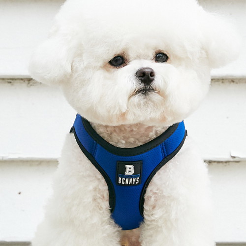 베니즈 베이직 하네스 블루