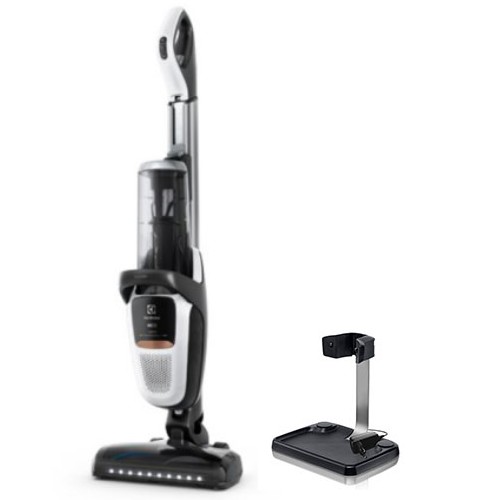 일렉트로룩스  퓨어 F9 PF91-6BWF