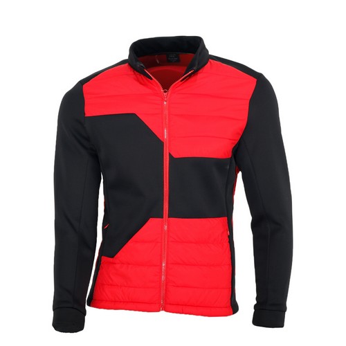 마스터베어  배색 블루종 패딩 점퍼 COMP6012