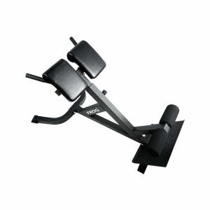 플러그피트니스  스트롱 백익스텐션