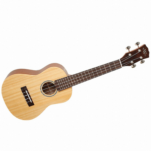 와일드우드  WC-600S