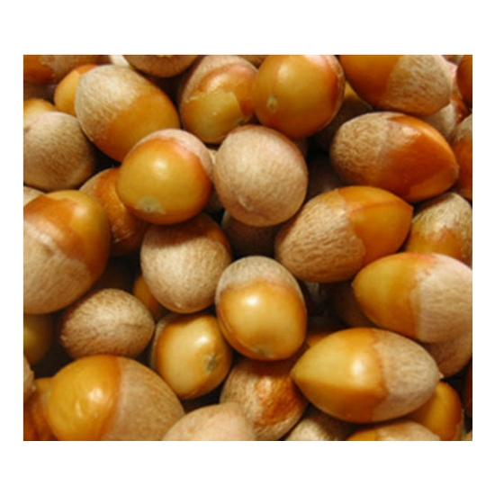 하양마트  깐은행 1kg